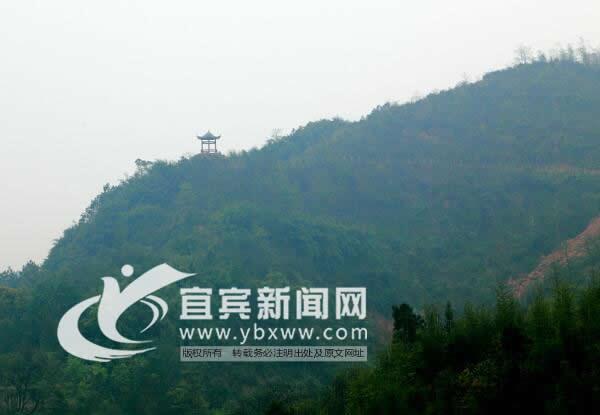 网络红人“第一书记”张洋:“驻”进村民心里