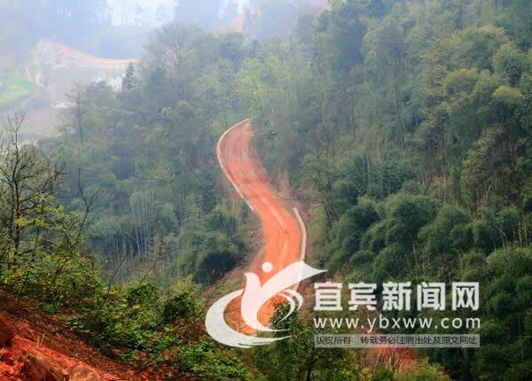 网络红人“第一书记”张洋:“驻”进村民心里