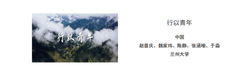 第六届国际青年人文对话云端举办