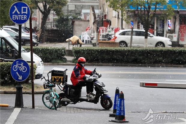 【圖説上海】2023初雪降臨 上海下起“認真的雪”