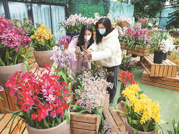 南京：中山植物园新春兰花展幽香扑鼻