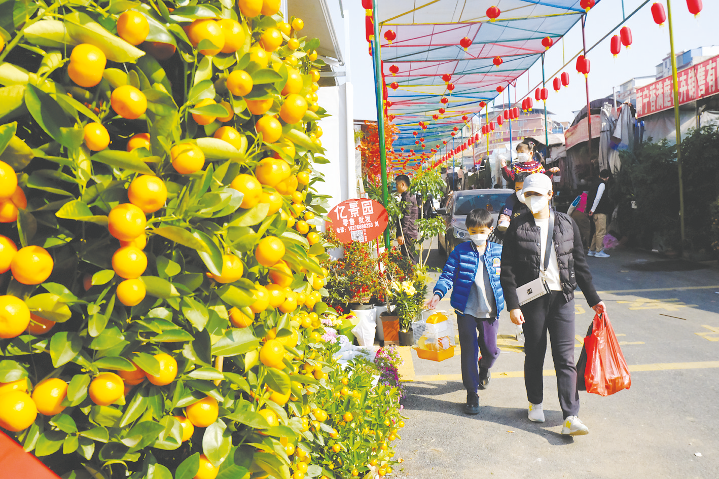 南宁各个市场进入“春节模式” 市民把浓浓“年味”带回家