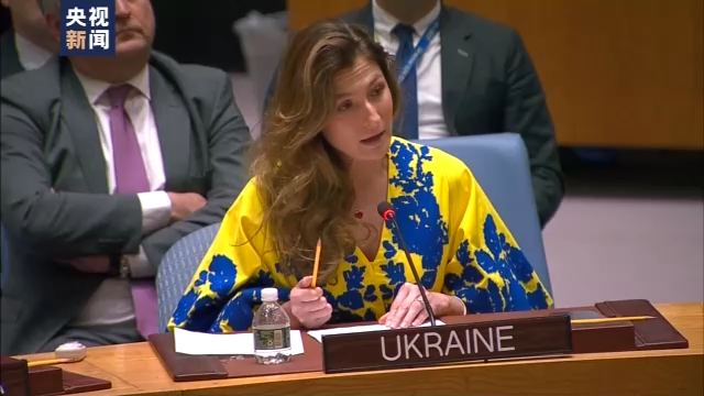 聯合國安理會就烏克蘭局勢舉行臨時會議