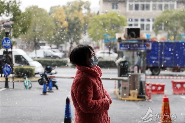 【圖説上海】2023初雪降臨 上海下起“認真的雪”