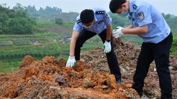 重庆警方公布2022年十大典型案例