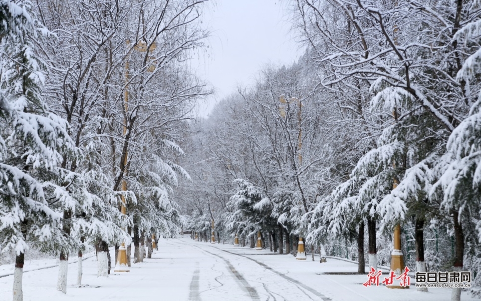 甘肃雪景平凉图片