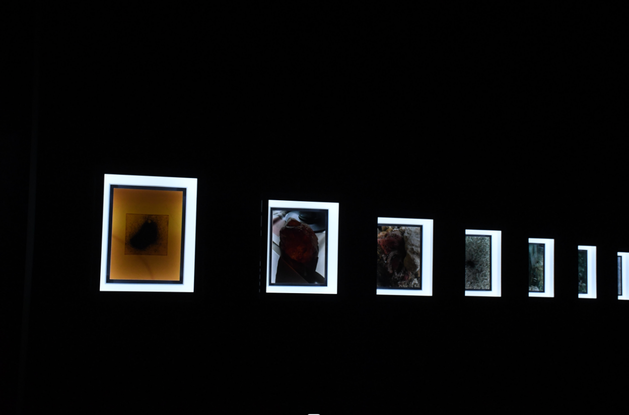 【原创】2022济南国际双年展：272件艺术精品讲述“共生世界”_fororder_图片7