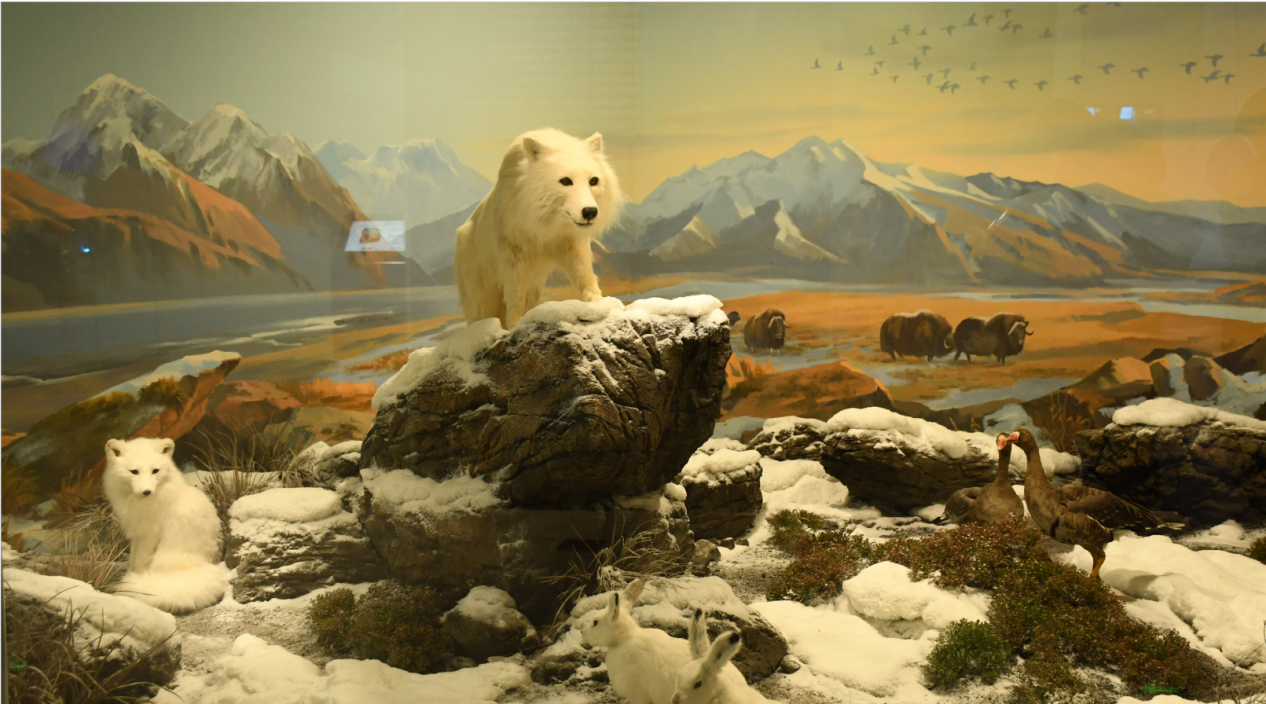 【原創】走進山東省科技館新館領略科技魅力_fororder_27