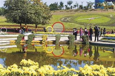瀋陽市植物園（瀋陽世博園）舉辦第十九屆菊花文化節