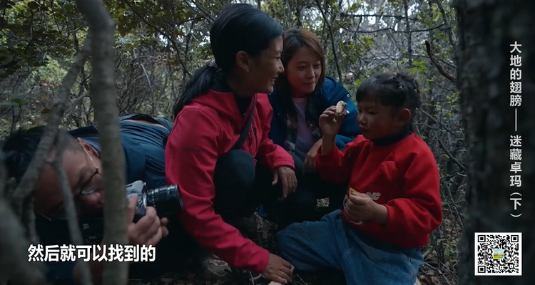 （轉載）《大地的翅膀》第二集：迷藏卓瑪（下）