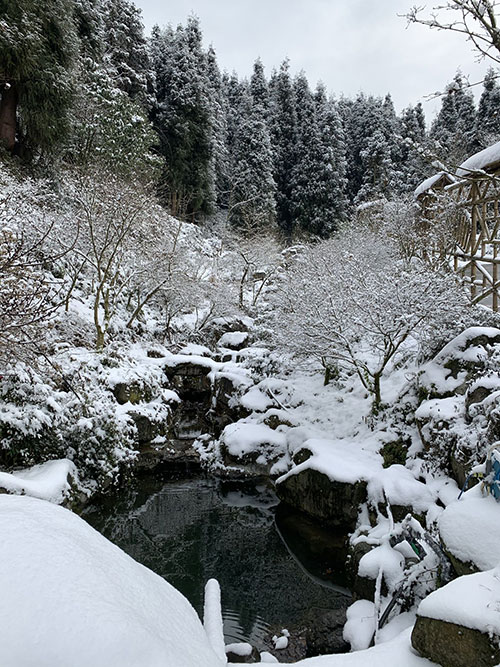 四川什邡：冰雪旅游正火爆_fororder_QQ图片20230116164612