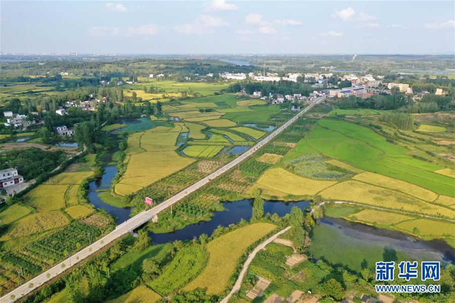 河南信陽：“多彩田園”鋪就綠色發展之路