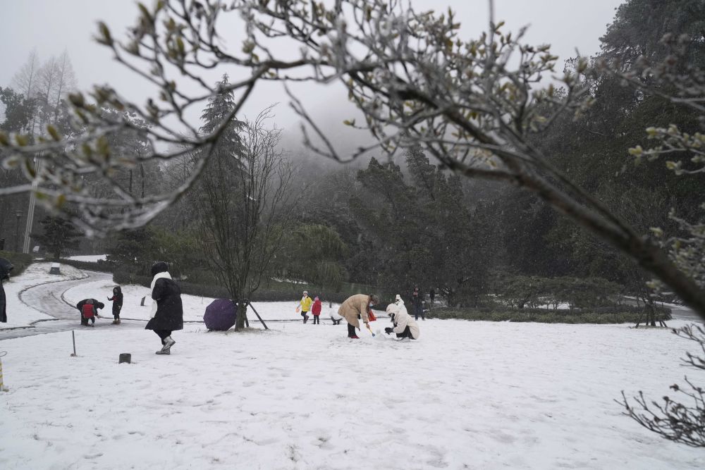 【城市远洋】重庆：雪润大地 景色如画