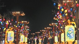3900盏花灯点亮世园公园