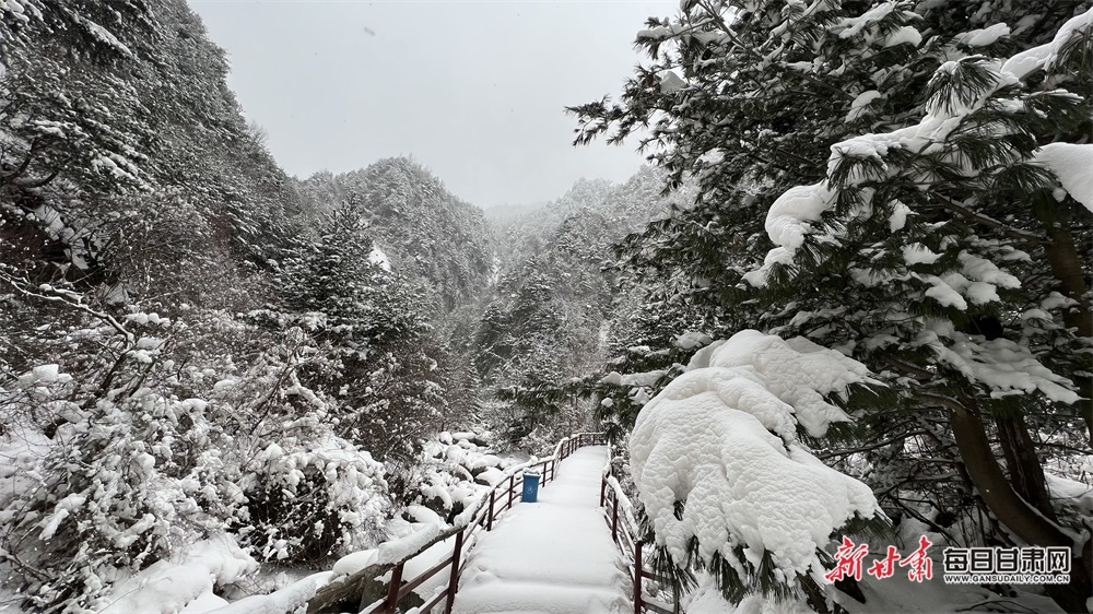 【轮播图】临夏：积石山大墩峡景区冰挂美景迎远客_fororder_4