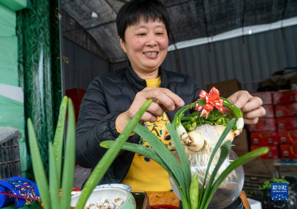 漳州：水仙“花樣”迎新春