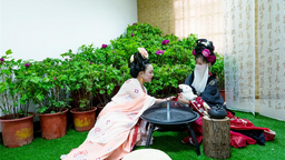 武汉植物园新春牡丹展喜迎新年