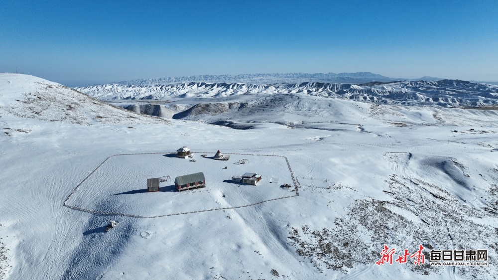 【輪播】武威肅南祁連山：牧群點點山巒間 群峰披銀滿目景_fororder_5