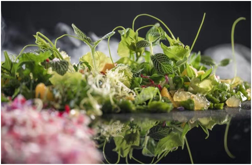 牛排家：一份牛排，一杯红酒，唤醒你的讲究时刻