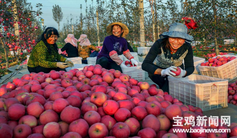 （转载）【宝鸡这一年】千阳县：产业引领 县域经济跑出“加速度”_fororder_微信图片_20230118104359
