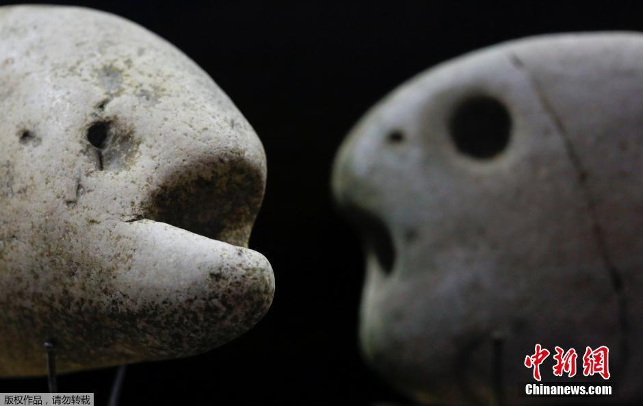 男子50年收藏數千塊石頭 形狀奇特或為史前雕塑