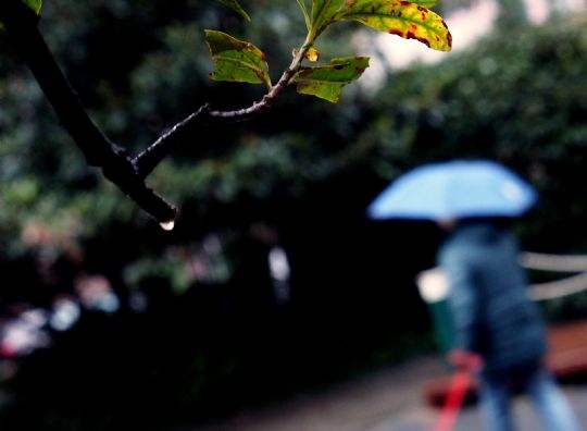 图片默认标题_fororder_yushuixna