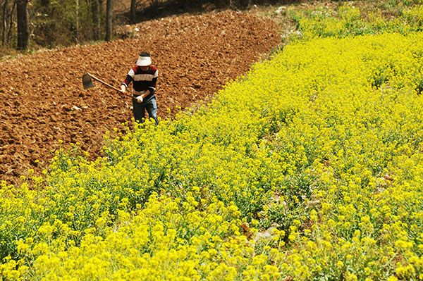 图片默认标题_fororder_yushuizhongdi