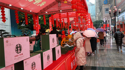 重庆：2023武隆区特色年货节启动