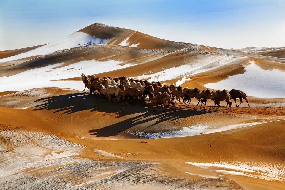 内蒙古：东西南北欢庆中国年  “不落幕”的欢乐冬季等您来_fororder_左智 冬之韵
