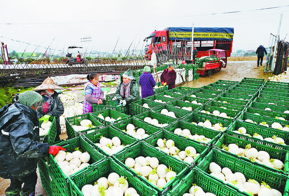 重慶：春節消費市場物豐價穩年味濃