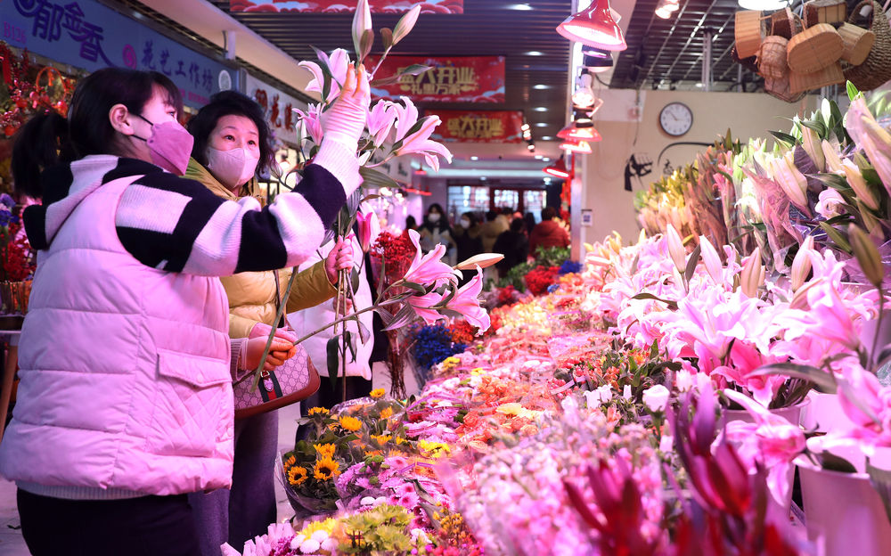 辽宁“花潮”涌动年味浓 姹紫嫣红喜迎春