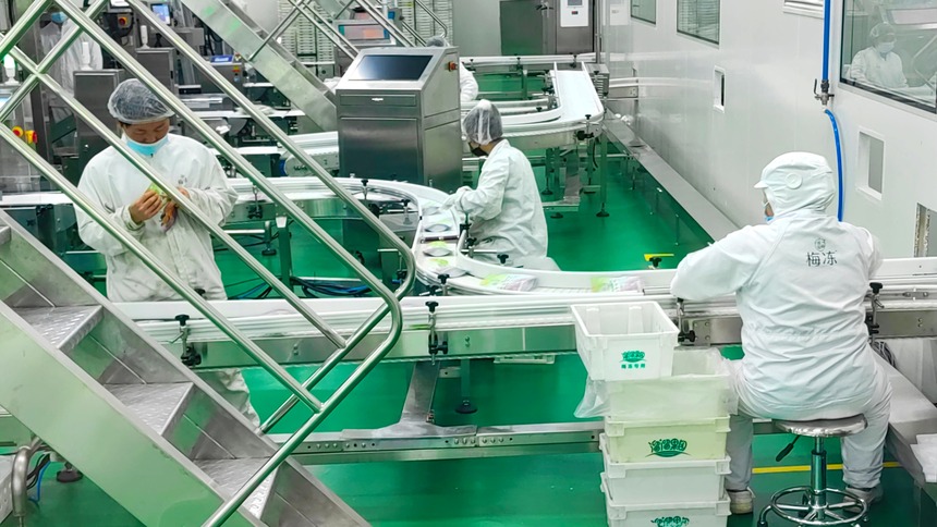 新時代新征程新偉業|強服務提能級 蕪湖繁昌“鏈”動一片新天地