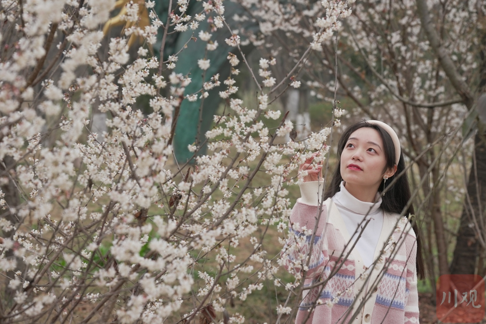 （转载）成都中和湿地公园：带你一站解锁春天的多彩