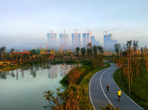 （转载）青白江：绘一幅新城最美画卷 建一方高品质宜居园