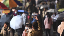長沙文旅市場人興財旺