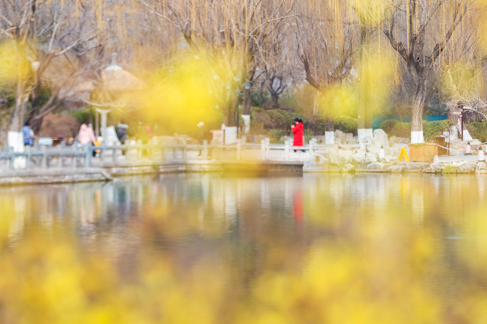 山东好景丨济南五龙潭春景妙不可言