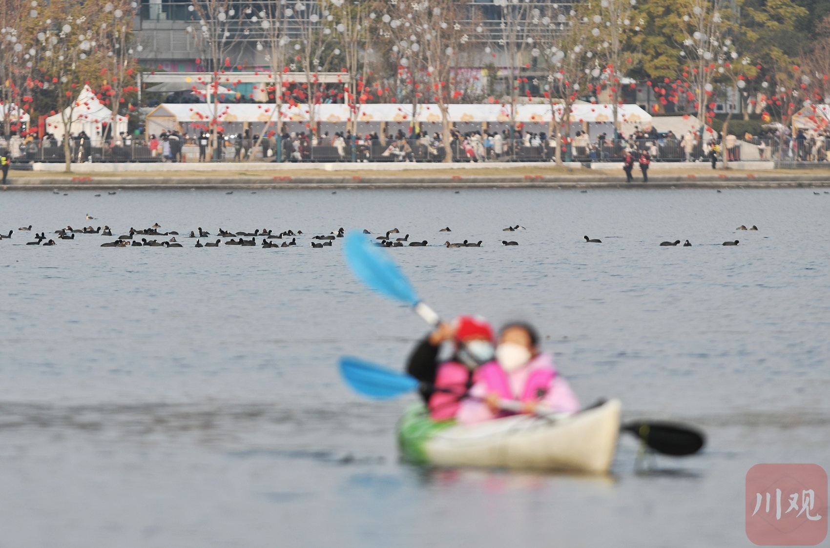 （轉載）劃皮划艇 解鎖成都興隆湖的新耍法