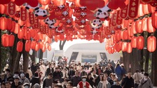 （转载）春节长假结束 成都大熊猫基地人气依旧爆棚