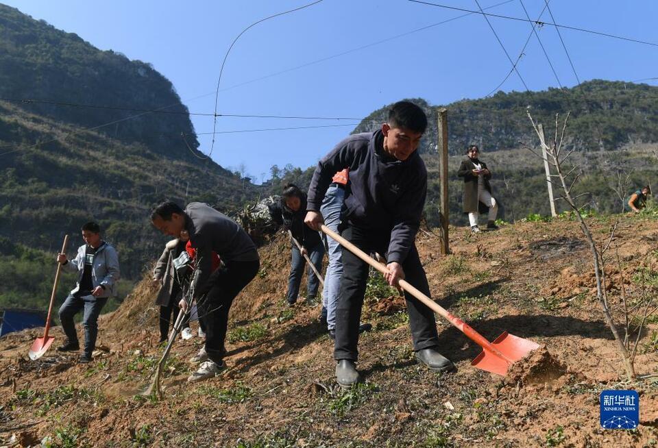 廣西:人勤春來早