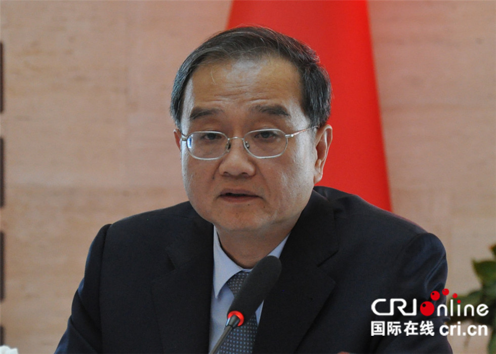 驻土耳其使馆邓励大使总结发言