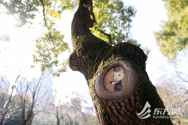 【图说上海】上海中山公园新添八组树洞彩绘 美观修复一举两得