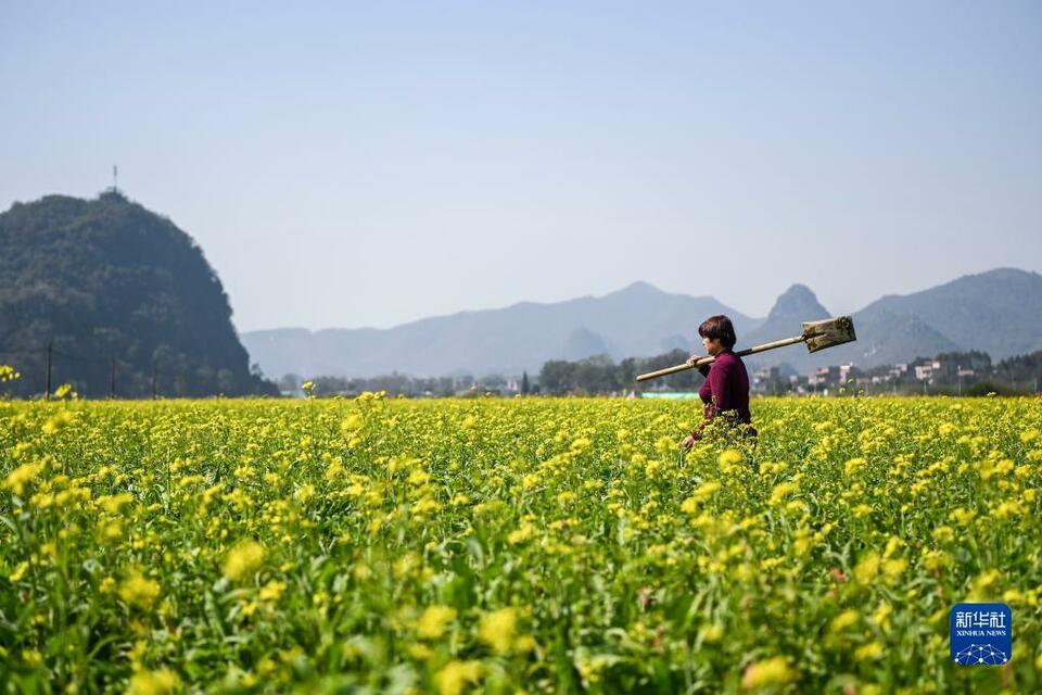 广西：人勤春来早