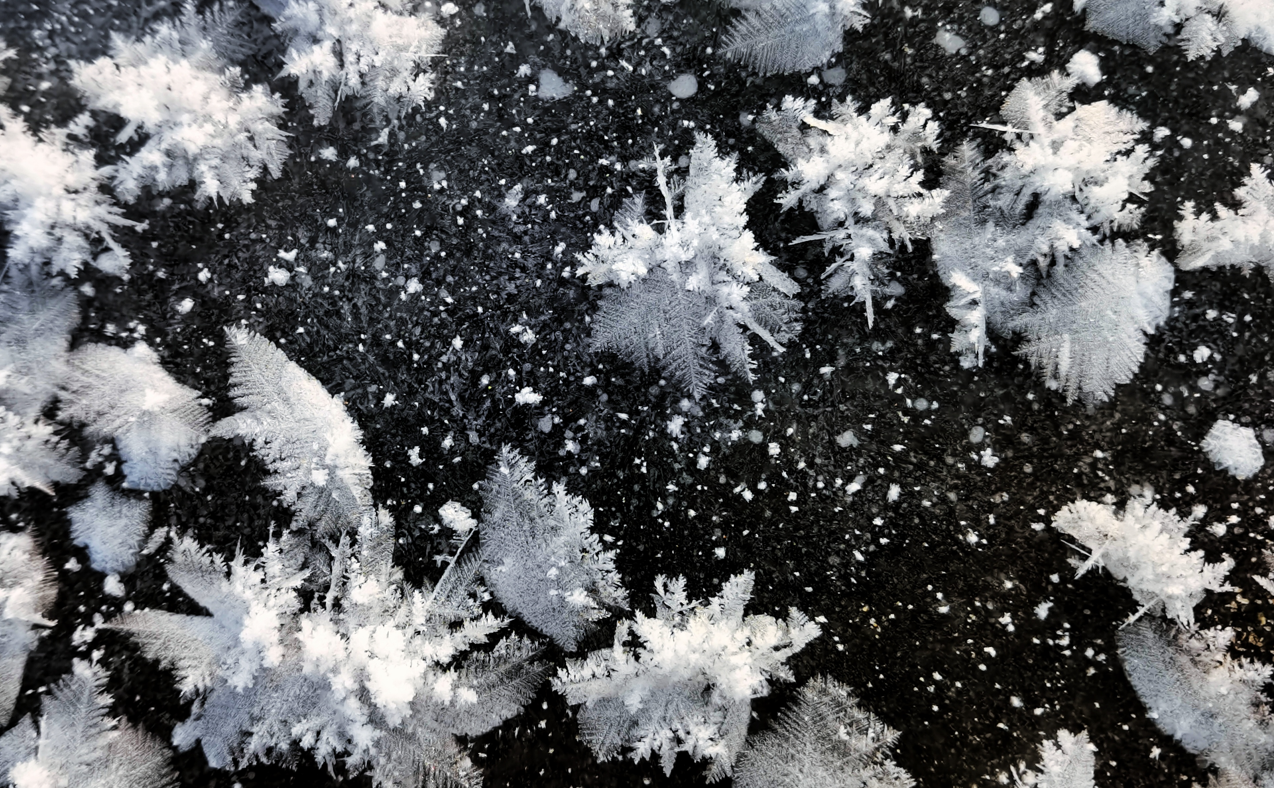 驚艷!絕美冰花綻放鬆花江畔_fororder_00301455499_7e93a44b