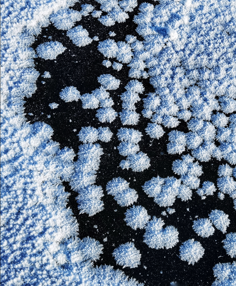 驚艷!絕美冰花綻放鬆花江畔_fororder_00301455494_dbe79b6f