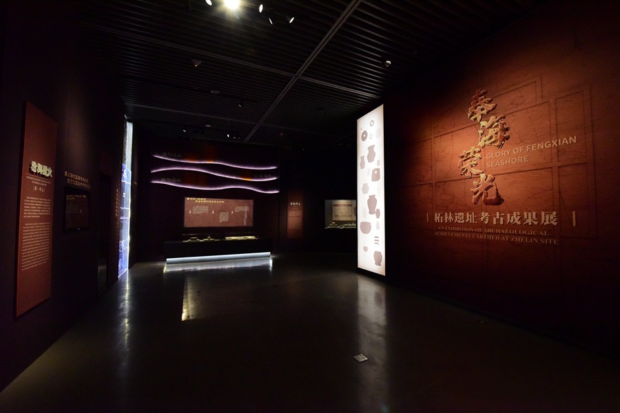 【文化旅遊】從奉賢柘林探尋“古上海”蹤跡 這個展覽帶您回到5000年前