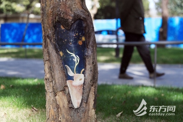 【图说上海】上海中山公园新添八组树洞彩绘 美观修复一举两得