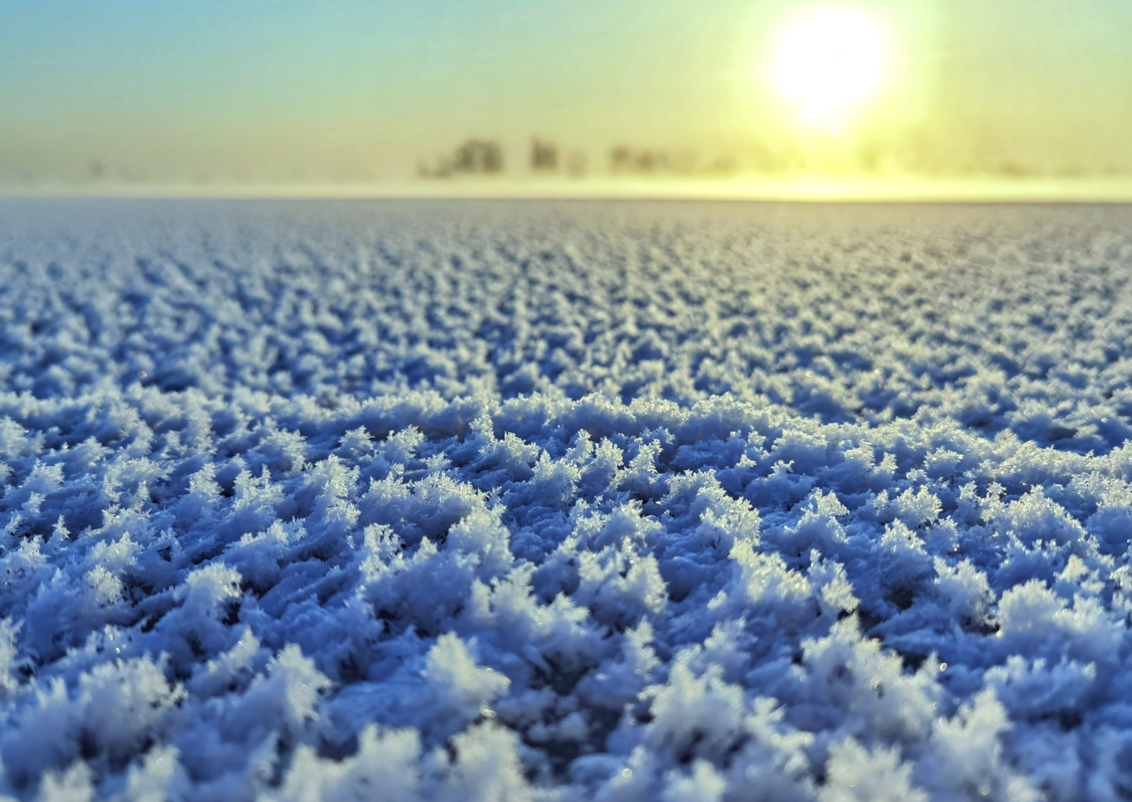 驚艷!絕美冰花綻放鬆花江畔_fororder_00301455487_fb8f3ccb