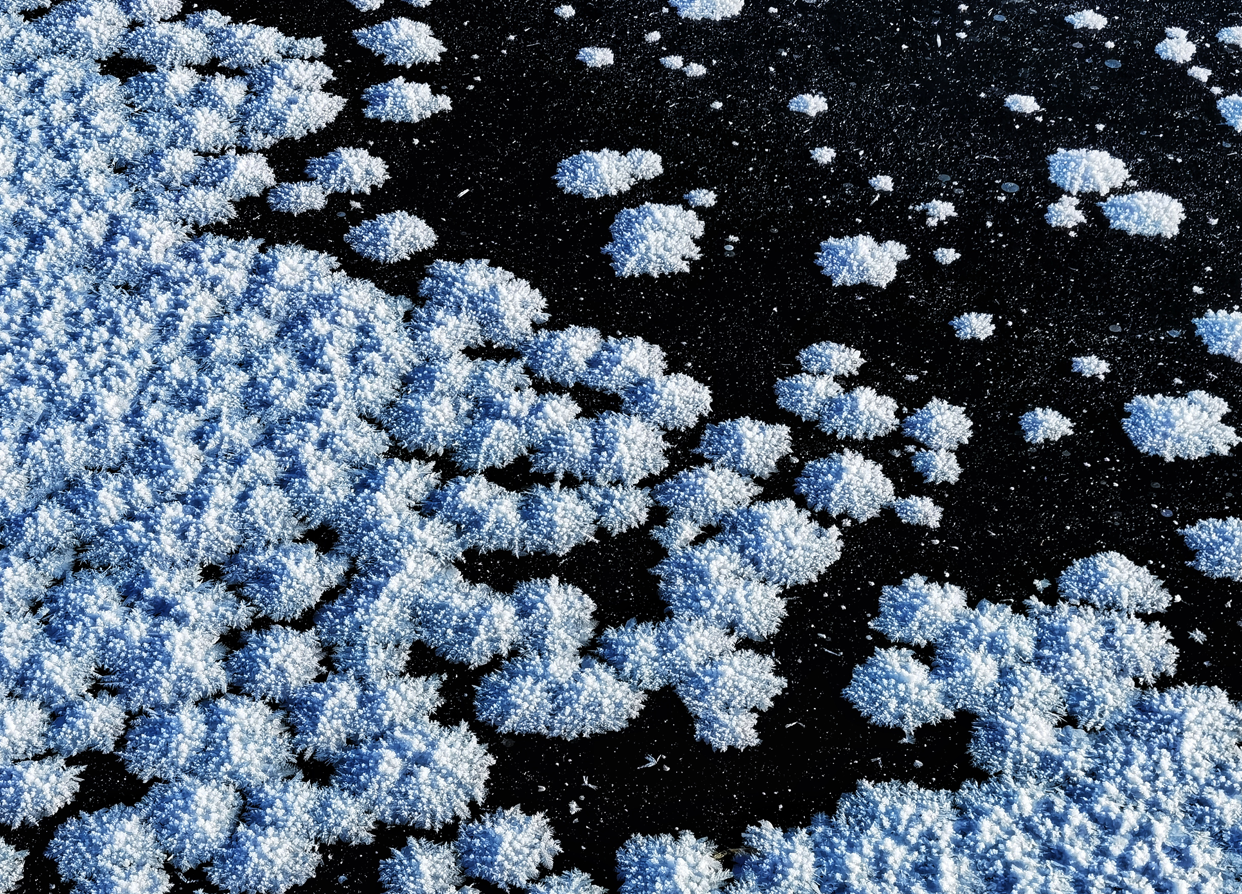 驚艷!絕美冰花綻放鬆花江畔_fororder_00301455495_f9fb732b