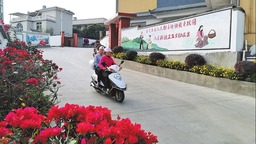 怒江瀘水：打造産業興、環境美的和諧美麗鄉村