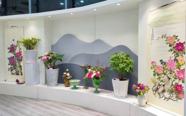【文化旅游】上海辰山植物园2023迎春花展将持续至2月16日